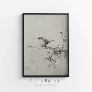 Esboço de retrato de pássaro | Arte Neutra | Decoração de parede de arte em linha vintage | IMPRIMÍVEL Download Digital Farmhouse Gift 1005