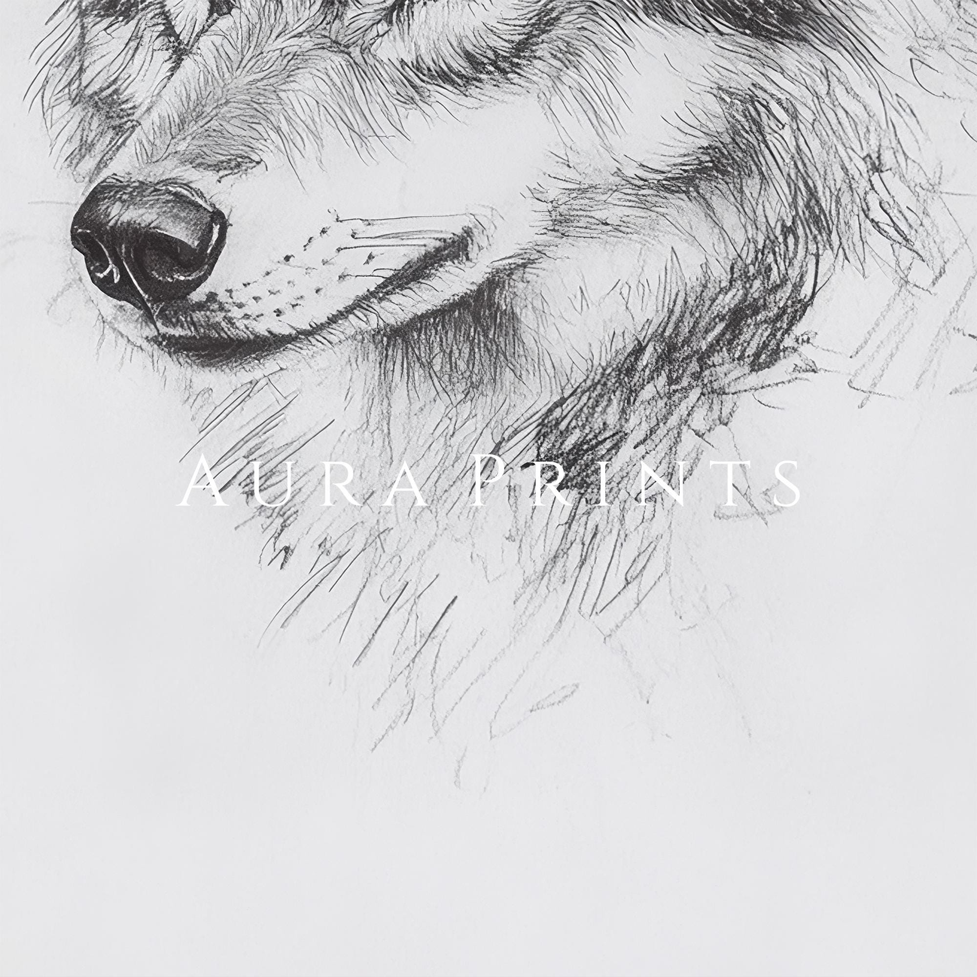 手描きのオオカミのスケッチ | 森の生き物の鉛筆アート | デジタル印刷 