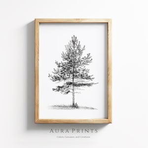 Pine Tree Pencil Art | Digital Download | Neutral Wall Decor | Cottage Nursery Sketch | Vintage Farmhouse Gift 1141