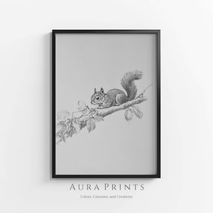 May include: A black and white line drawing of a squirrel sitting on a branch. The squirrel is looking to the left and has its tail curled up behind it. The branch is bare and has leaves on it.
