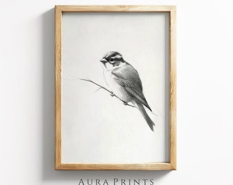 Cute Little Bird Sketch | Nature Art | Vintage Farmhouse Wall Decor | PRINTABLE Digital Download Rustic Cottage Gift 0951