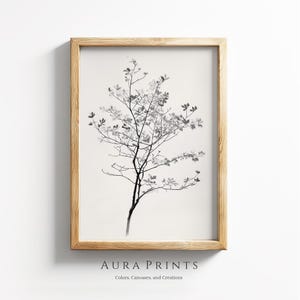 Könnte beinhalten: Schwarzweißdruck eines Baumes mit Ästen und Blättern. Der Druck ist in einem hellen Holzrahmen gerahmt. Der Druck ist mit "Aura Prints: Colors, Canvases, and Creations" betitelt.