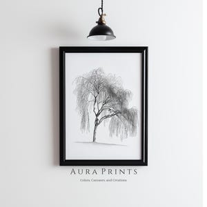 May include: Black and white line drawing of a weeping willow tree in a black frame with the text "AURA PRINTS Colors, Canvases, and Creations" at the bottom.