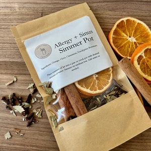 Mijoter Allergie + Sinus | Pot-pourri sur la cuisinière | Tout naturel | Cadeau de pendaison de crémaillère | Non toxique | Parfum d'ambiance