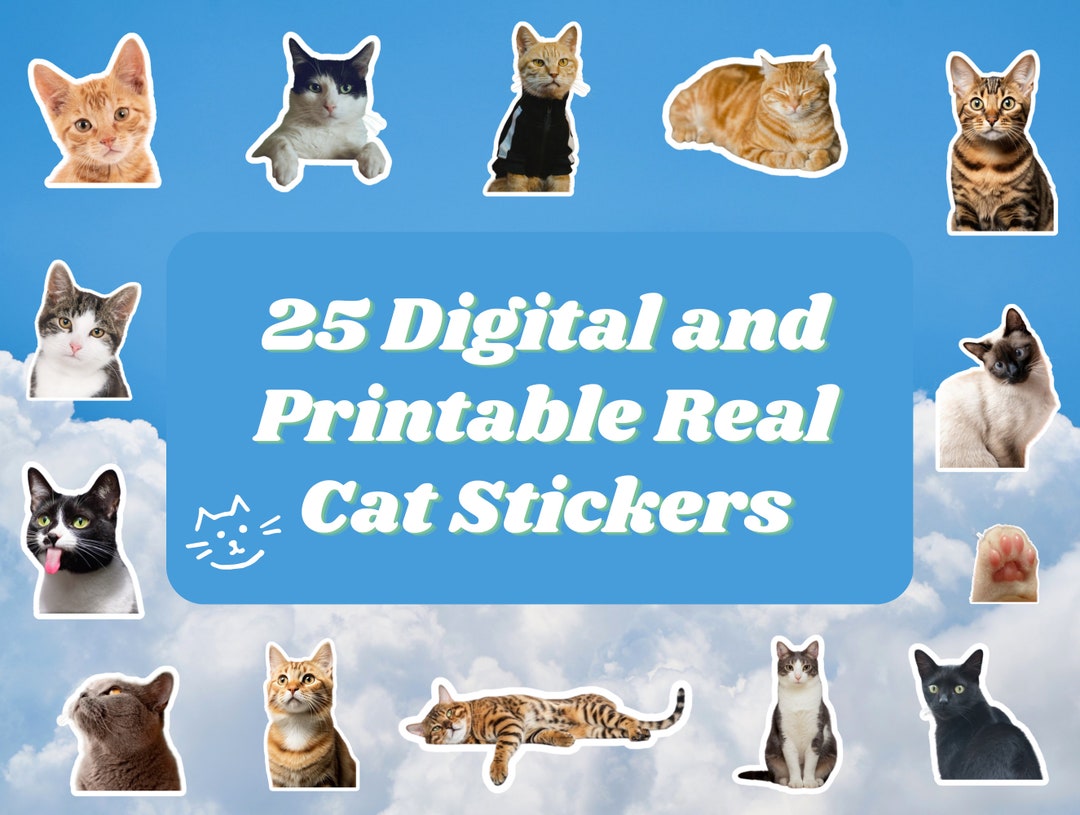 Cute Cat Stickers Pack: Instant Download Digital Product for Cat Lovers ...