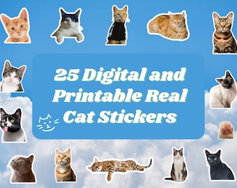 Cute Cat Stickers Pack: Instant Download Digital Product for Cat Lovers, Printable Kitten Sheet Print and Cut Sticker, Png, Laptop Sticker