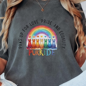 Rainbow Colors Pride Tee, LGBTQ+ Pride tshirt, Trans Rights Top, Gay Cat Lover Gift, Equal Rights, Social Justice T-Shirt, Pride Month idea