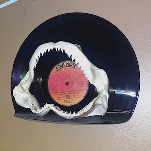 Vinyl Record Shelf