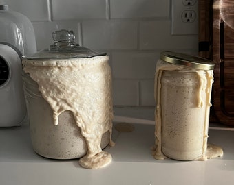 Organic sourdough starter