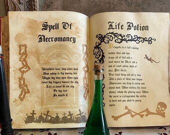 Hocus Pocus Inspired Spell Book Pages