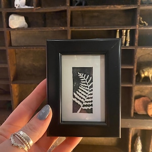 May include: A black and white framed print of a fern leaf in a minimalist style. The print is displayed on a wooden shelf with other decorative items.