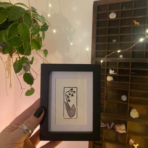May include: A black framed print of a simple line drawing of a lily of the valley flower in black ink on white paper.