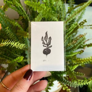 May include: A small, white card featuring a black linocut print of a beet with leaves. The card is encased in a clear plastic sleeve. The background is a lush arrangement of green ferns.