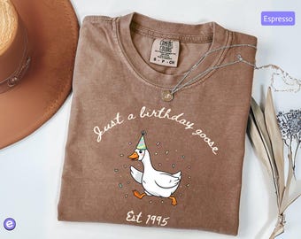 Just a Birthday Goose Shirt, Comfort Colors® 30th Birthday Gift for Her, Silly Goose Meme Tshirt, Funny Birthday Party Outfit, Goose Lover