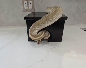 Nascondiglio per rettili per terrario e arredamento. Piccolo