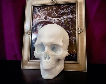 Life Size Human Skull Replica - White resin Skull - Gothic and Dark Academia Decor - Handmade - Fine Art Sculpture - Gift - Curiosity