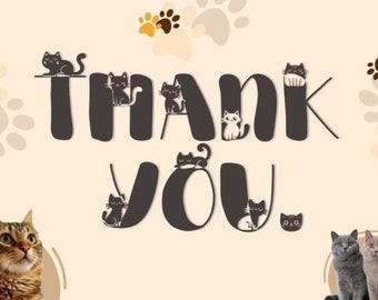 Cat Character Font | Cat Inspired Font | Cat Inspired Text