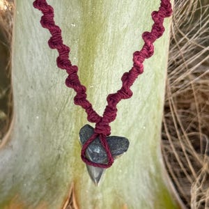 Handmade Shark Tooth Necklace