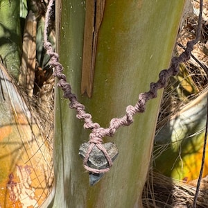 Handmade Shark Tooth Necklace