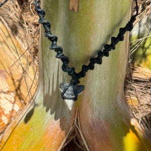 Handmade Shark Tooth Necklace