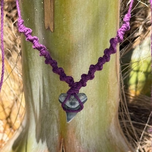 Handmade Shark Tooth Necklace