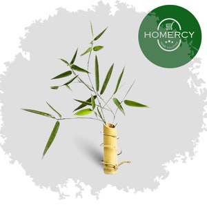 Bamboo Vase Flower Tube | Living Room Study Flower Container Decoration