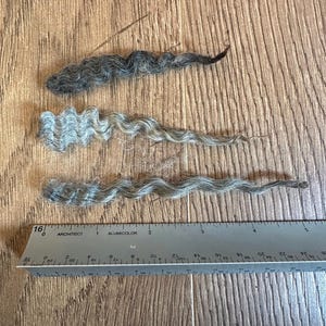 May include: Three strands of gray and black curly hair are displayed on a wooden surface. A metal ruler with both inch and centimeter measurements is placed next to the hair, providing a size reference. The hair appears to be natural.