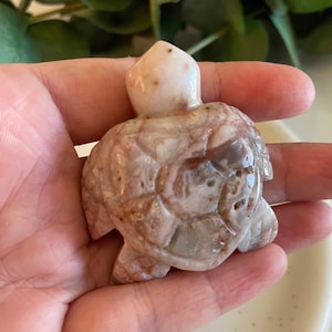 Flower Agate Turtle, Flower Agate Carving, Crystal Turtle, Crystal Carving, Gemstone, Crystal Healing, Turtle Carving, Flower Agate Stone