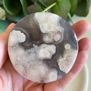 Black Flower Agate Puck/Disk