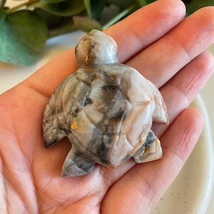 Flower Agate Turtle, Flower Agate, Flower Agate Carving, Flower Agate Crystal, Flower Agate Gemstone, Gemstone, Agate, Crystal Healing, Gems