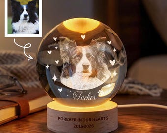 Personalized Pet Memorial Night Light, Pet Portrait Crystal Ball Night Light, Photo Crystal Light, Pet Loss, Pet Memorial Gift for Dog, Cat
