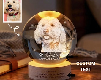Custom Pet Memorial Night Light,Personalized Pet Portrait Crystal Ball Night Light,Photo Crystal Light,Pet Loss,Pet Memorial Gift for Dog