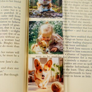 May include: A clear rectangular bookmark featuring three stacked photographic prints of a Corgi dog. The top image shows a Corgi in a forest, the middle shows a child with a Corgi, and the bottom shows a Corgi playing with a ball of yarn.