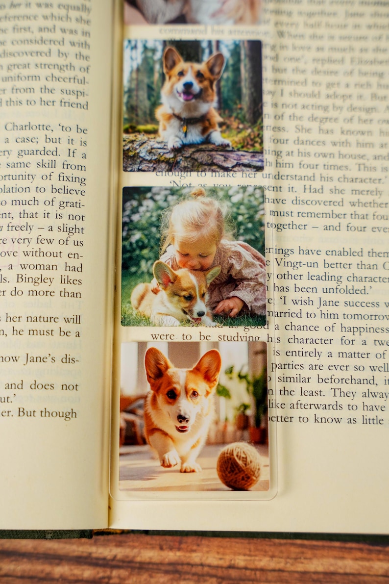 May include: A clear rectangular bookmark featuring three stacked photographic prints of a Corgi dog. The top image shows a Corgi in a forest, the middle shows a child with a Corgi, and the bottom shows a Corgi playing with a ball of yarn.