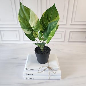 Small Artificial Pothos Plant in Pot: 11-Inch Faux Greenery