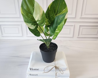 Small Artificial Pothos Plant in Pot: 11-Inch Faux Greenery