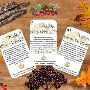 Cartões de atividades de princípios de permacultura FLASH CARDS Digital Download PDF Flashcards imprimíveis Eco Learning Cultura ecológica