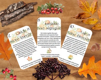 Permaculture Principles Activity Cards FLASH CARDS Digital Download PDF Printable Flashcards Eco Learning Ecological Culture
