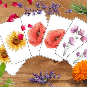 Flower Matching Game Digitale download, Geheugenspelactiviteit voor KINDEREN, natuur- en tuin leren ECO-bloemenkaarten PDF kleurrijk afdrukbaar