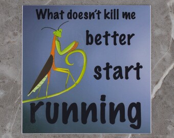 What Doesn't Kill Me Better Run Preying Mantis Sticker 3x3 vinyl sticker, original art