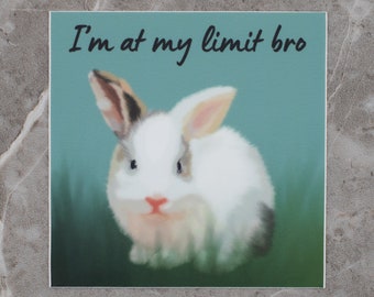 Funny Bunny Vinyl Sticker, I'm at my limit bro, Original Art (3x3)