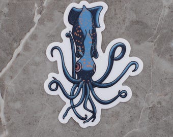 Squid sticker, Squidly, vinyl die cut sticker