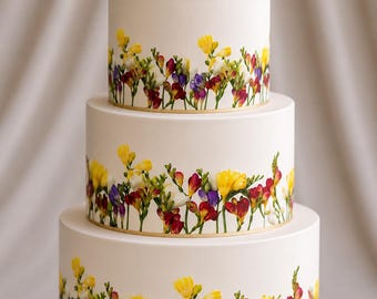 May include: A three-tier white cake decorated with a wrap-around print of colorful yellow, purple, red, and white freesia flowers at the base of each tier. The top of the cake is adorned with a cluster of fresh yellow, purple, and white freesia flowers.