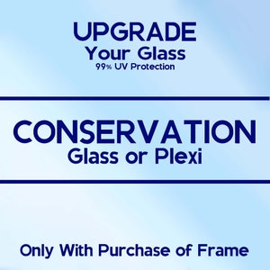 AMÉLIORATION – Ajoutez du verre transparent/plexiglas de conservation à votre commande de cadre – UNIQUEMENT avec l'achat du cadre