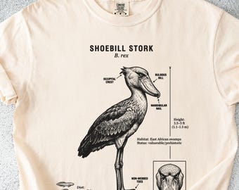 Shoebill Stork T-Shirt: Detailed Anatomy, Vulnerable Status, East African Swamps