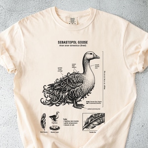 Sebastopol Goose T-Shirt: Ornamental Bird, Danube Region Breed, Twisted Feathers