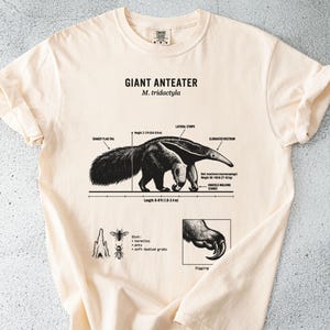Koszulka z mrówkojadami: anatomiczny design, owadożerca, wygodna w kolorze