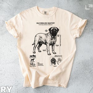 Puede incluir: Camiseta color marfil con una ilustración detallada de un Old English Mastiff, con detalles anatómicos y características de la raza. La camiseta incluye el texto "OLD ENGLISH MASTIFF" y está hecha de un material suave y cómodo.