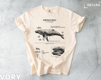 Humpback Whale T-shirt: Scientific Illustration, Marine Biology