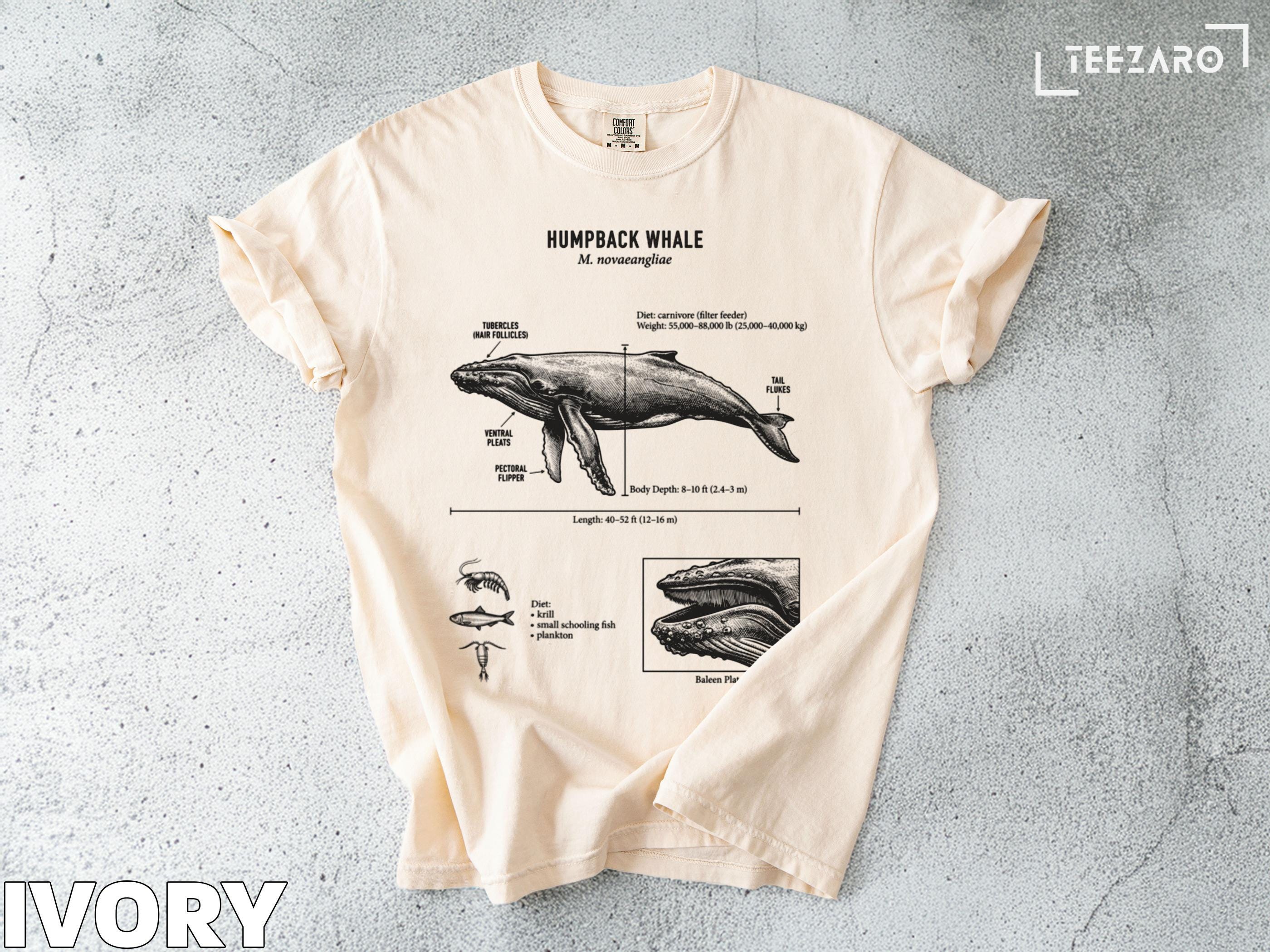 Humpback Whale T-shirt: Scientific Illustration, Marine Biology